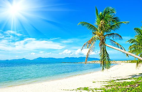 Tranh cảnh biển TH 1589 nhập khẩu Đài Loan